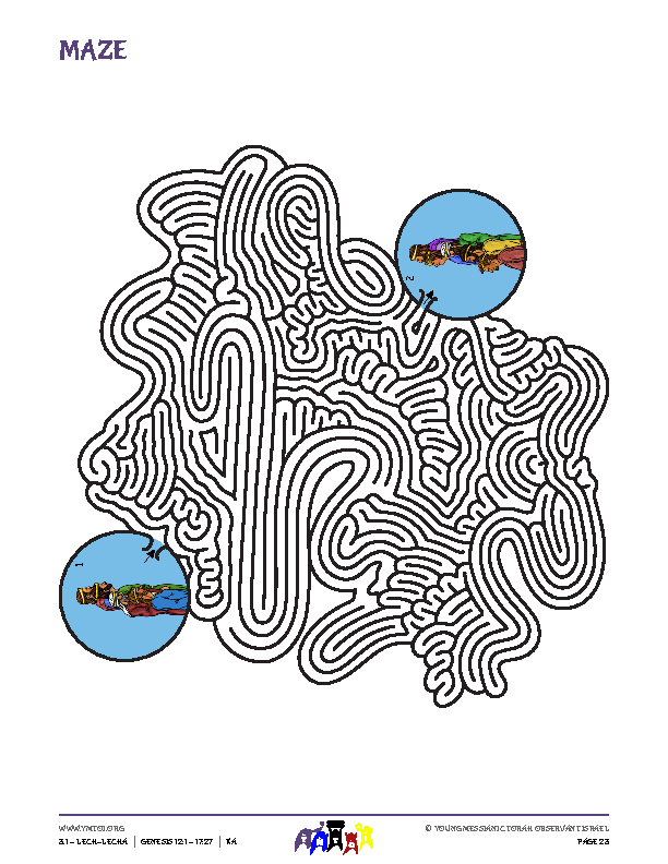 Maze