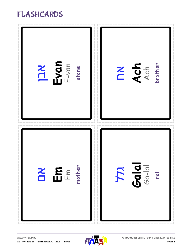 Flashcards