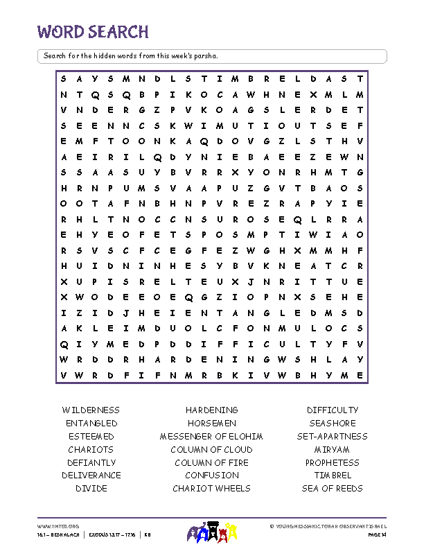 Word Search