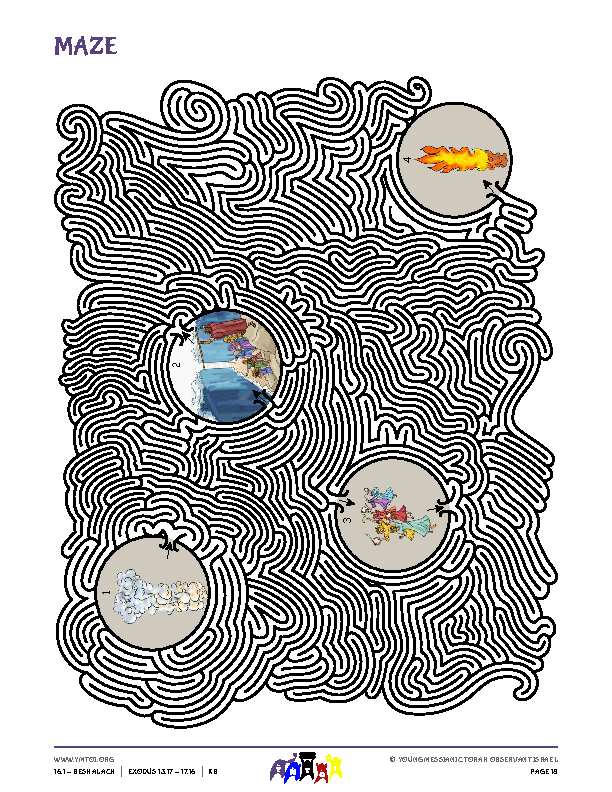 Maze