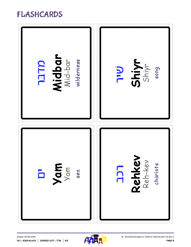 Flashcards
