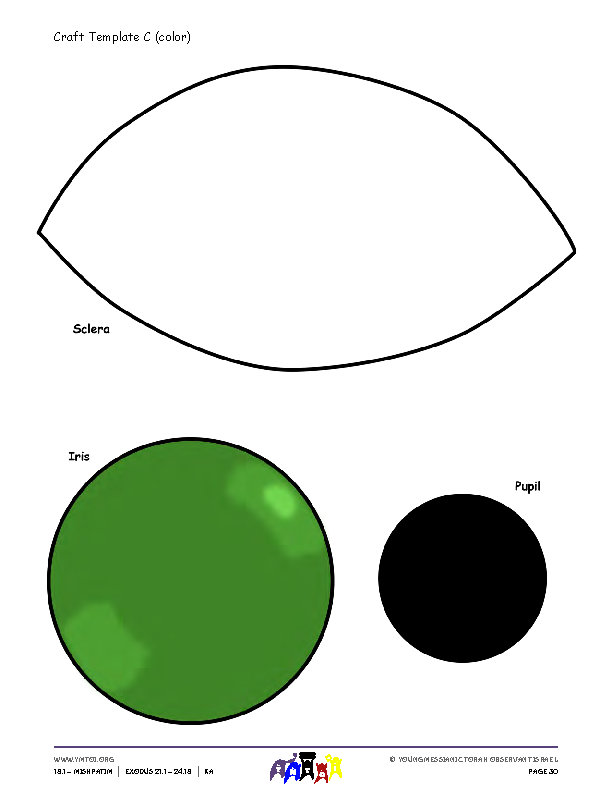 Craft 2 Template C (color)