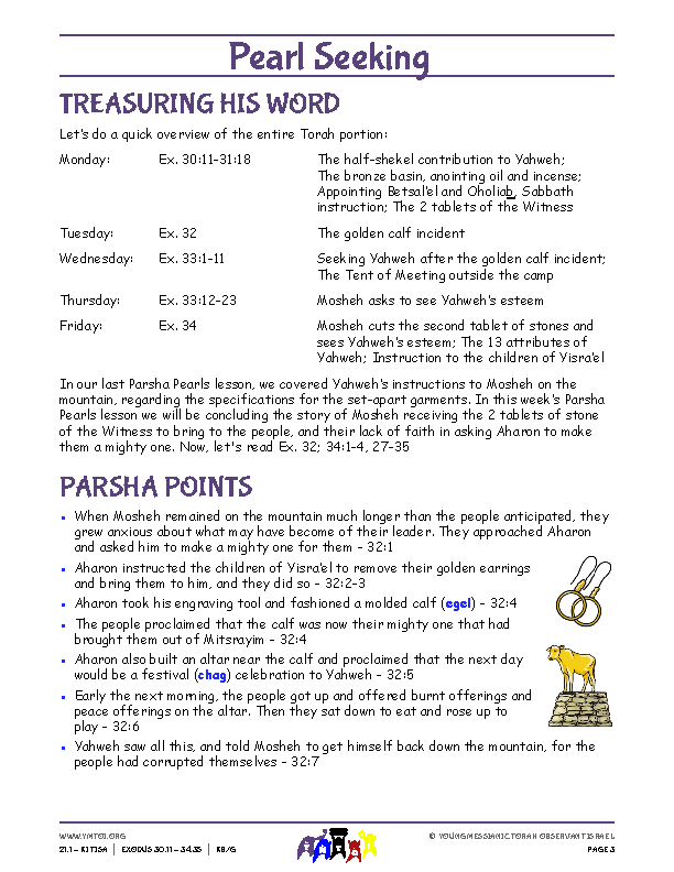 Parsha Points (main lesson content)