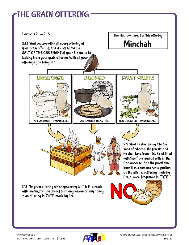 Resource - The Grain Offering