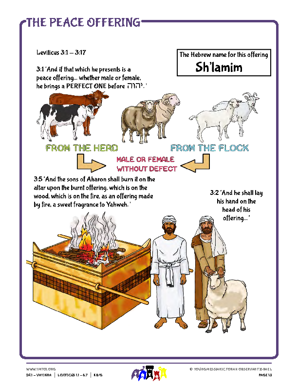 Resource - The Peace Offering