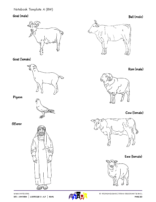 Notebook Template A & B (BW)