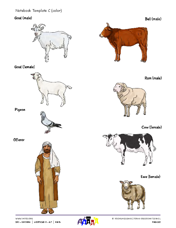 Notebook Template C & D (color)