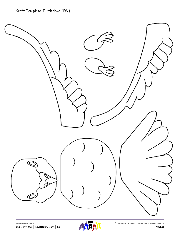 Craft Template Turtledove (BW)