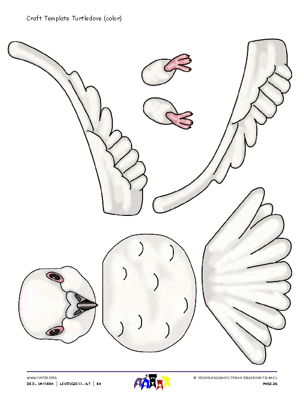Craft Template Turtledove (color)
