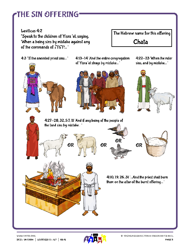 Resource - The Sin Offering