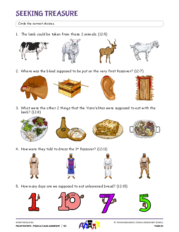 Seeking Treasure (questions from the parsha)