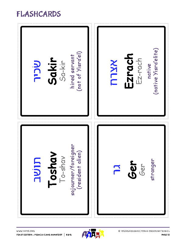 Flashcards