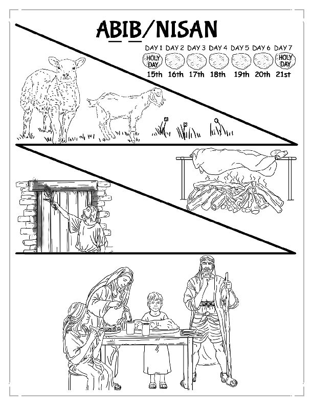 Coloring Page 