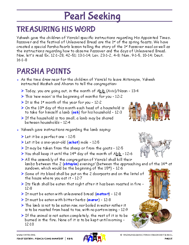 Parsha Points (main lesson content)
