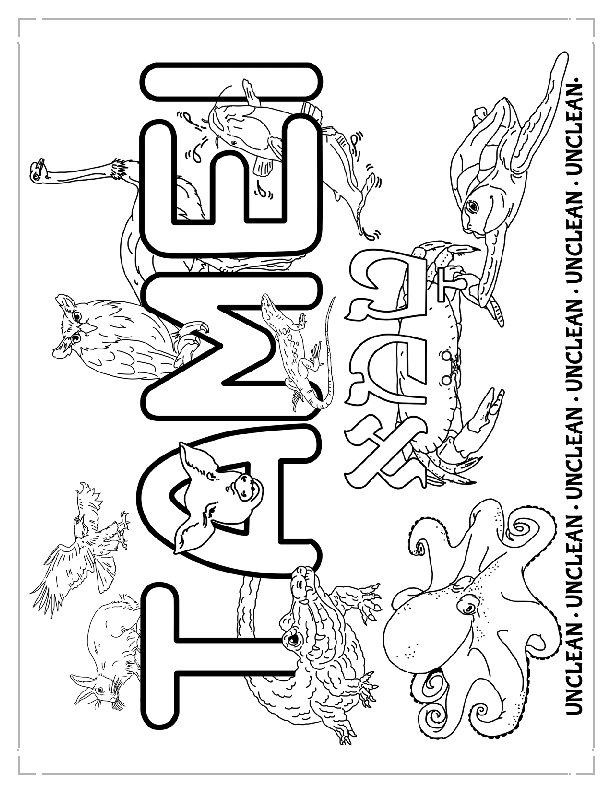 Coloring Page - Tamei