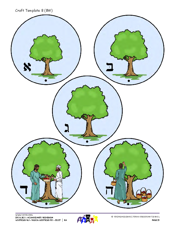 Craft Template B (color)
