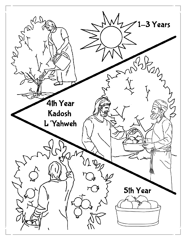 Coloring Page