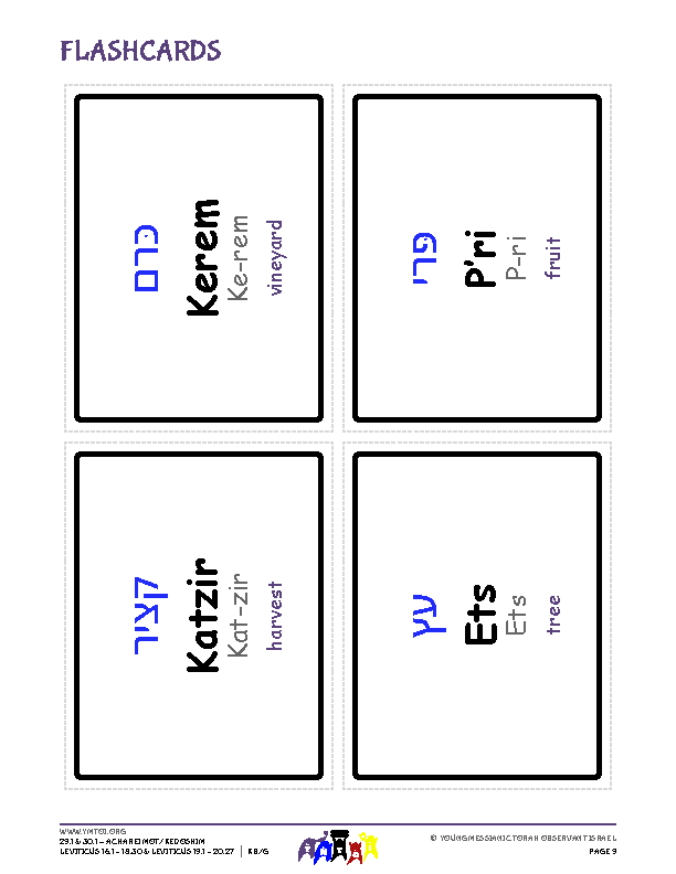 Flashcards
