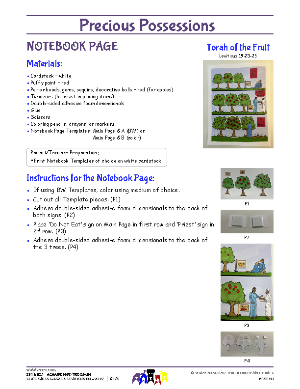 Notebook Page Instructions