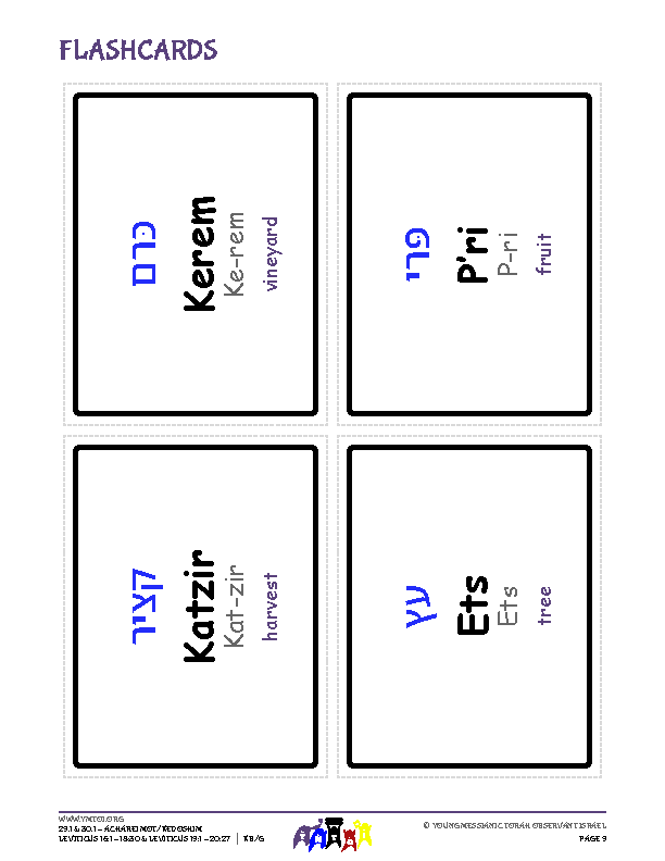 Flashcards