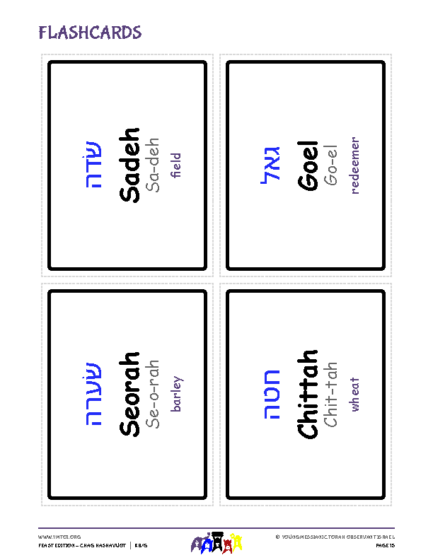 Flashcards
