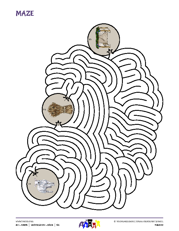 Maze