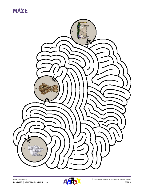 Maze