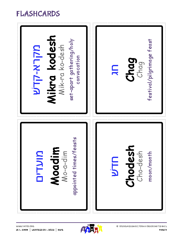 Flashcards