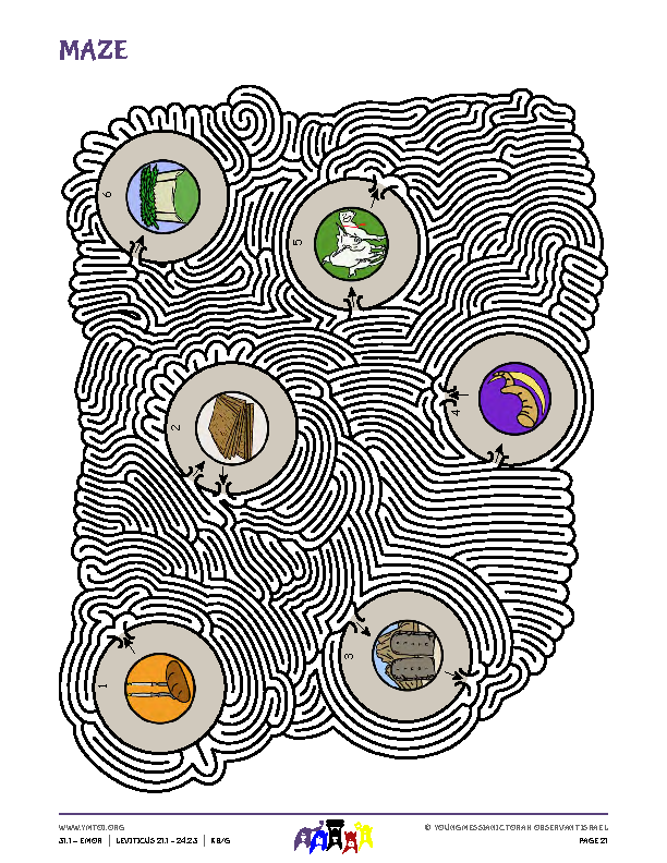 Maze