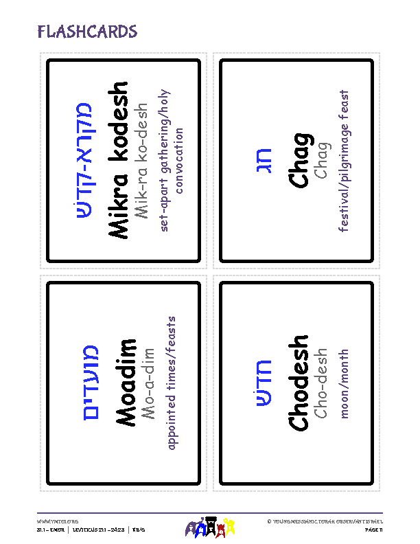 Flashcards