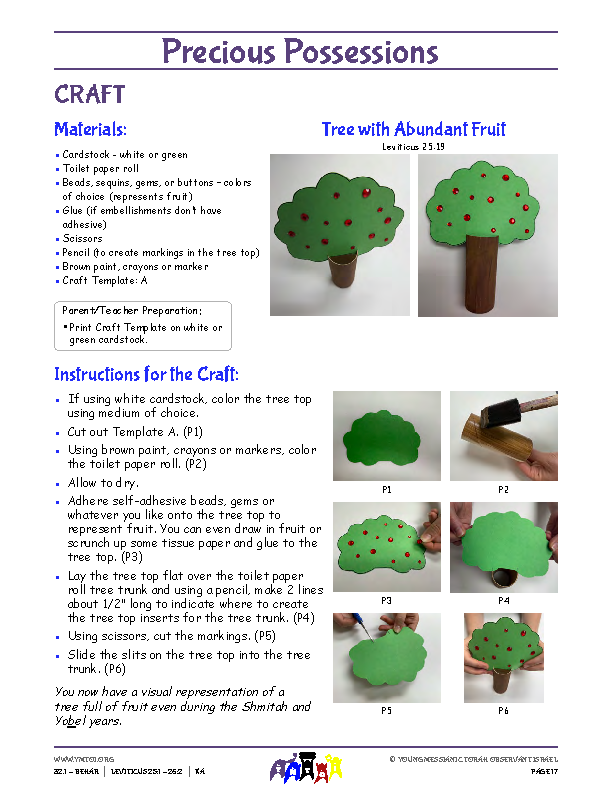 Craft Instructions