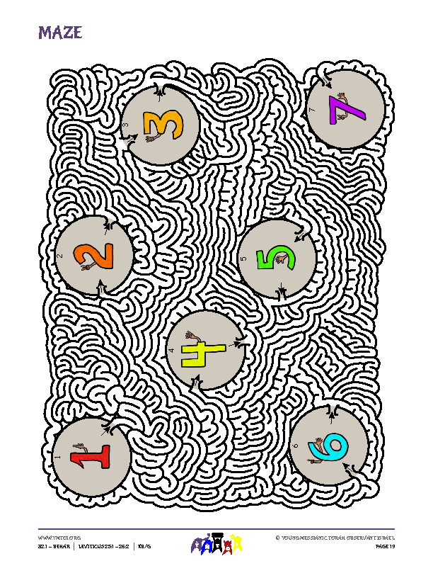 Maze