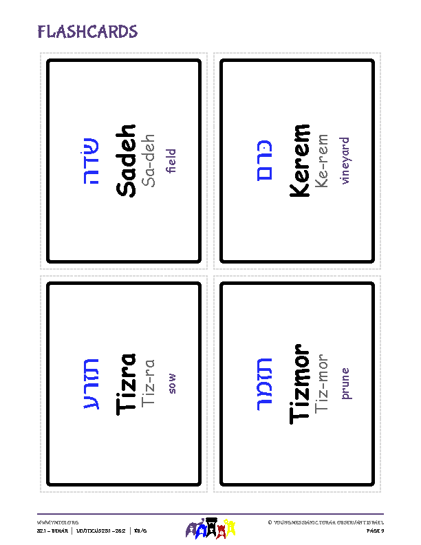Flashcards