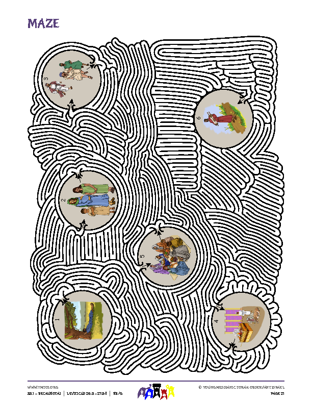 Maze