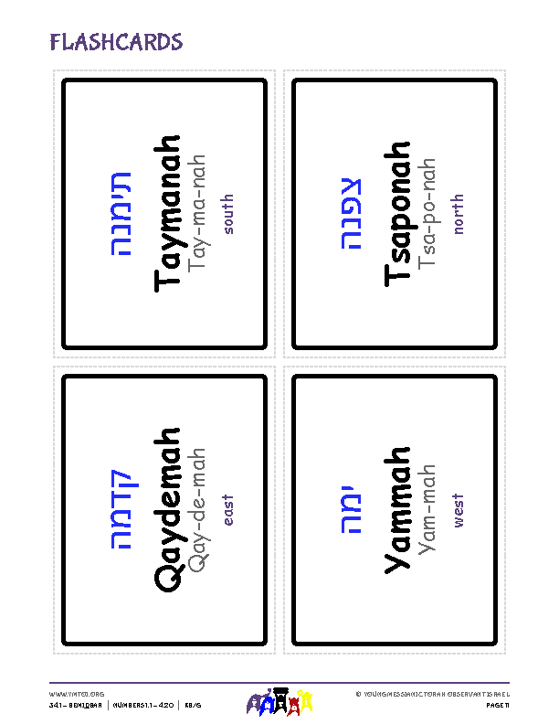 Flashcards