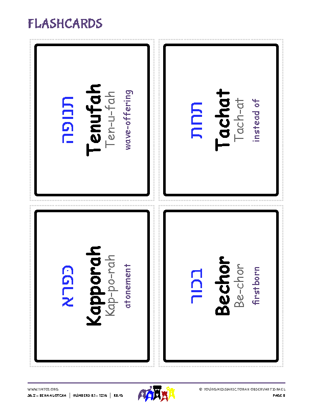 Flashcards