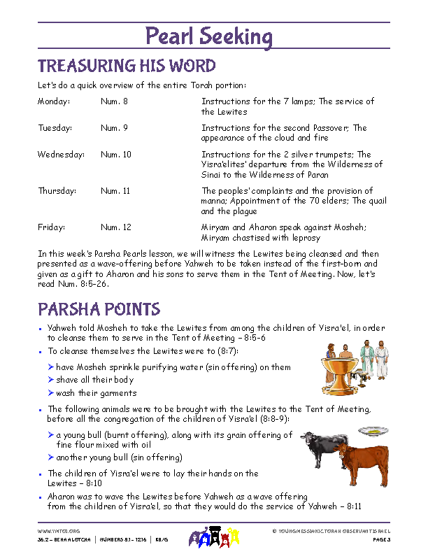 Parsha Points (main lesson content)