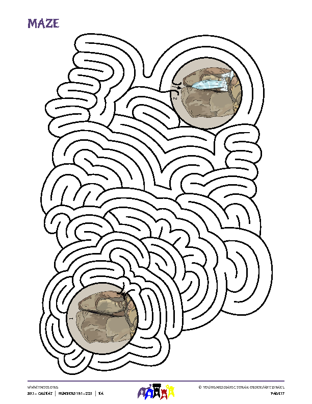 Maze