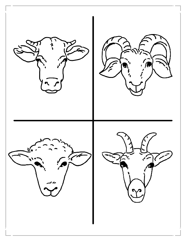 Coloring Page
