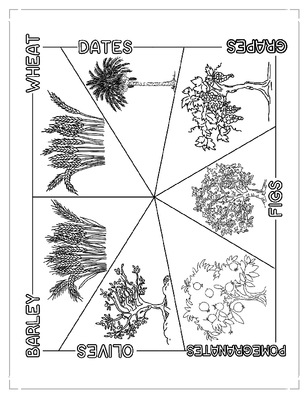 Coloring Page