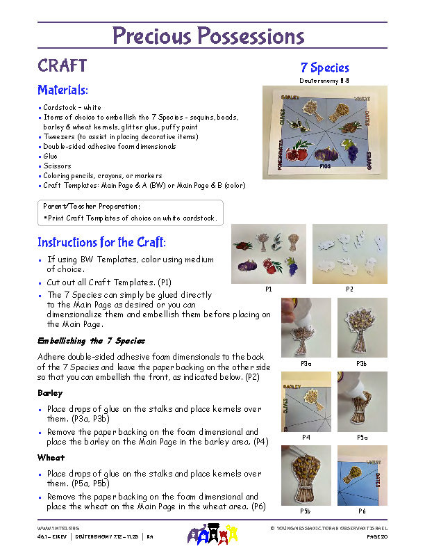Craft Instructions - 7 Species