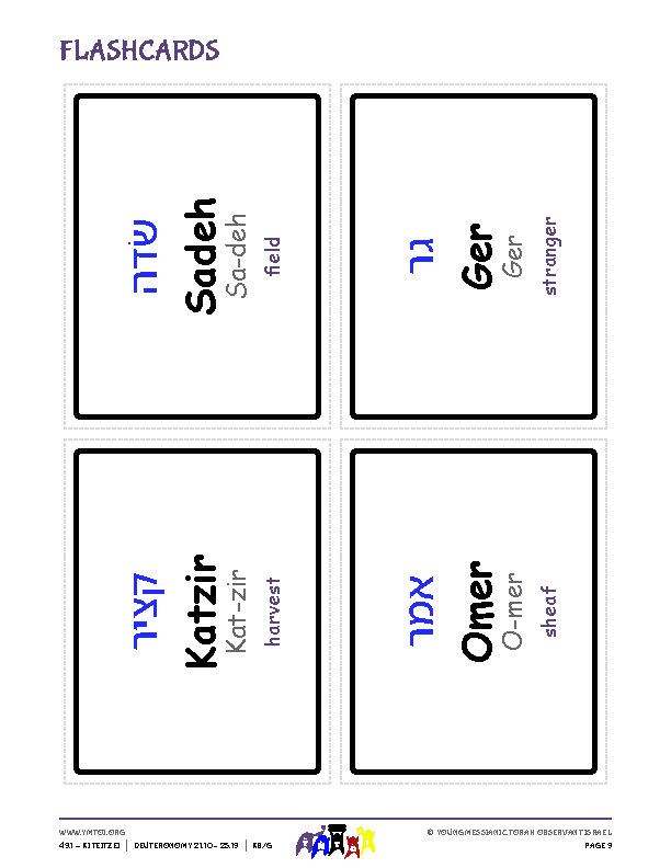 Flashcards