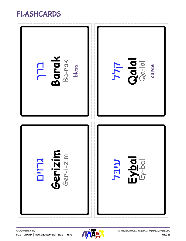 Flashcards
