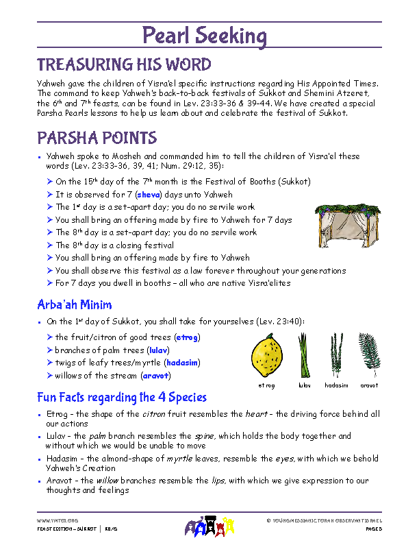 Parsha Points (main lesson content)