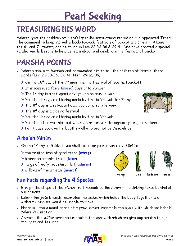 Parsha Points (main lesson content)