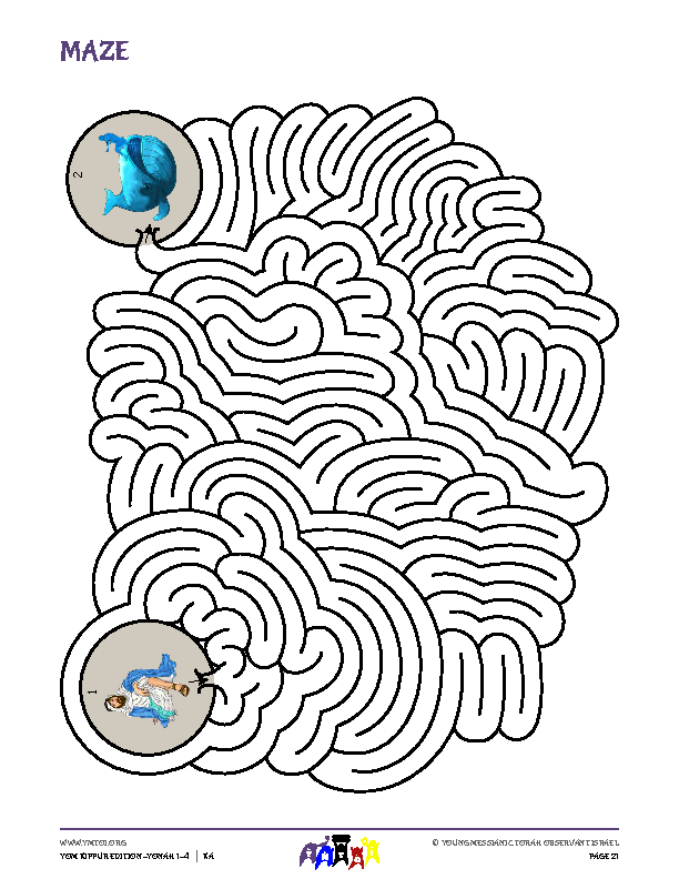 Maze