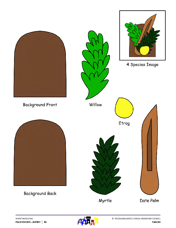 4 Species - Template for Stick Puppet