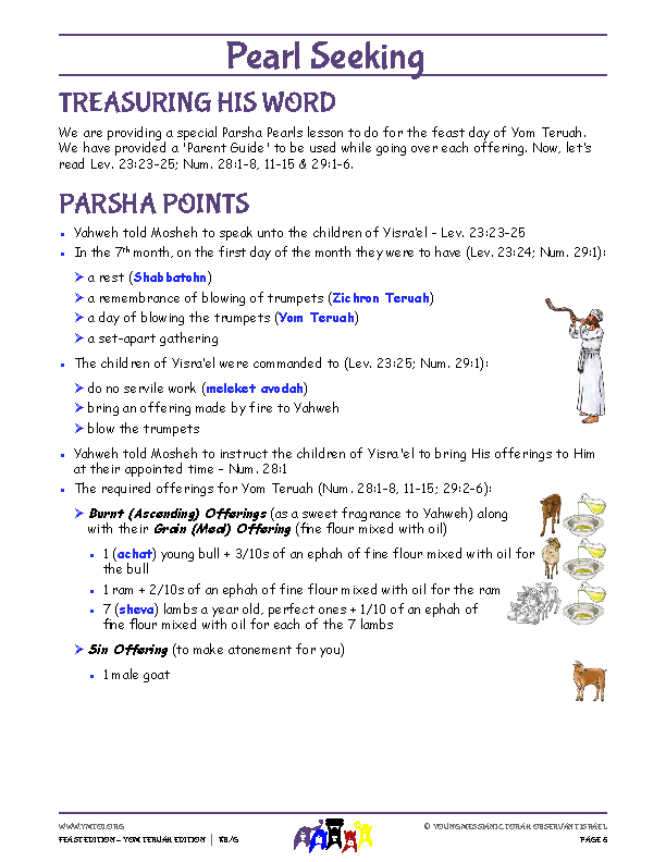 Parsha Points (main lesson content)