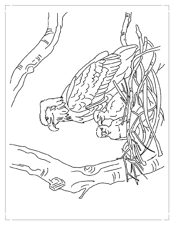 Coloring Page 1