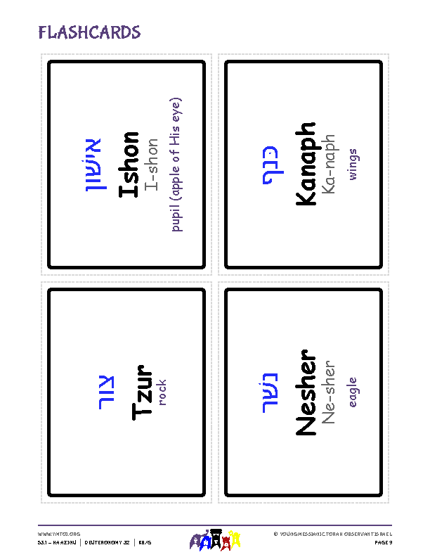 Flashcards